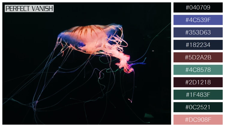 透明感漂うクラゲの無料配色パターン 10色 フリー closeup shot jellyfish