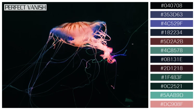 透明感漂うクラゲの無料配色パターン 12色 フリー closeup shot jellyfish