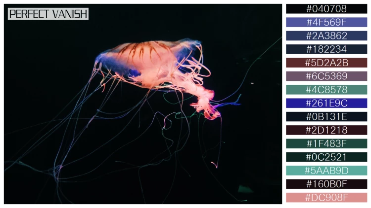 透明感漂うクラゲの無料配色パターン 15色 フリー closeup shot jellyfish