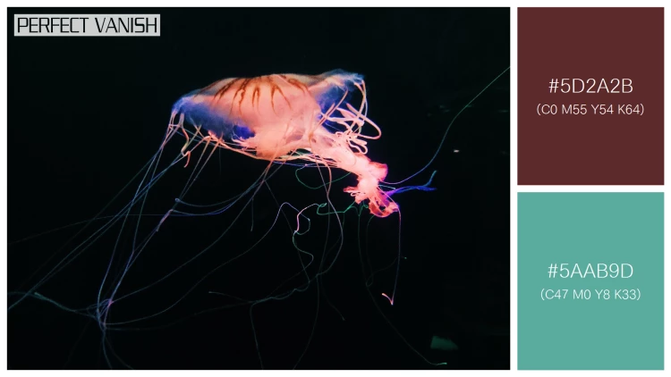 透明感漂うクラゲの無料配色パターン 2色 フリー closeup shot jellyfish