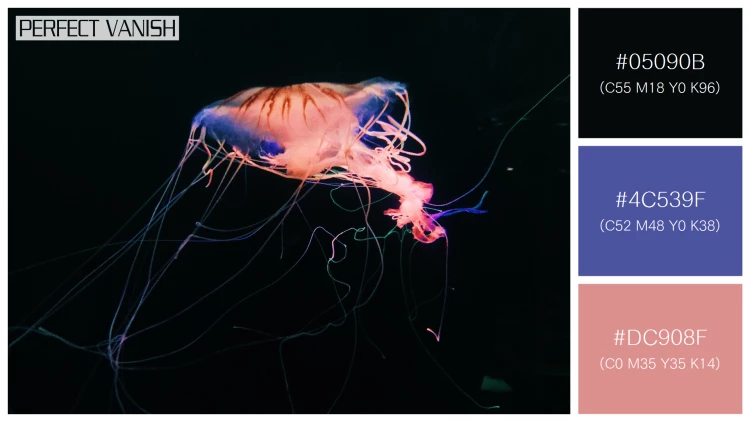 透明感漂うクラゲの無料配色パターン 3色 フリー closeup shot jellyfish