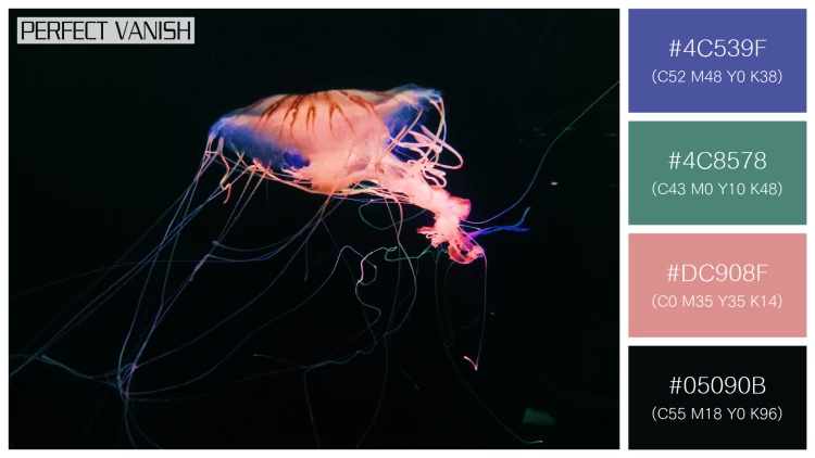 透明感漂うクラゲの無料配色パターン 4色 フリー closeup shot jellyfish