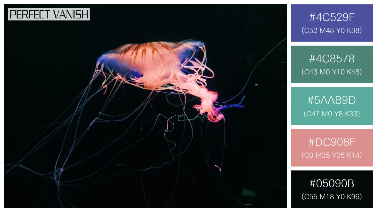 透明感漂うクラゲの無料配色パターン 5色 フリー closeup shot jellyfish