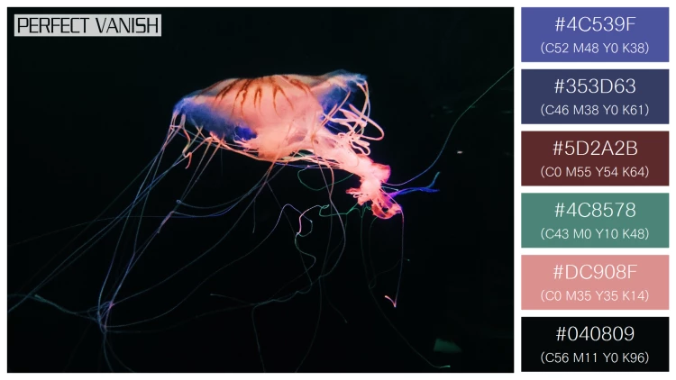 透明感漂うクラゲの無料配色パターン 6色 フリー closeup shot jellyfish
