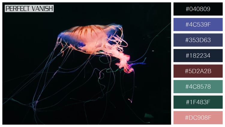 透明感漂うクラゲの無料配色パターン 8色 フリー closeup shot jellyfish
