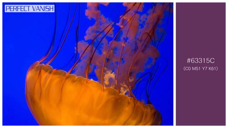 透明感漂うクラゲの無料配色パターン 1色 フリー two brown jellyfish