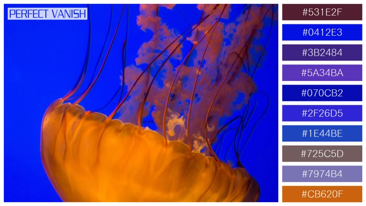 透明感漂うクラゲの無料配色パターン 10色 フリー two brown jellyfish