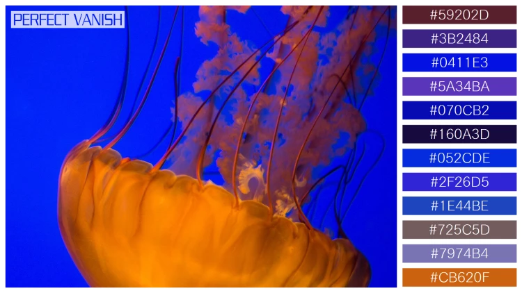 透明感漂うクラゲの無料配色パターン 12色 フリー two brown jellyfish