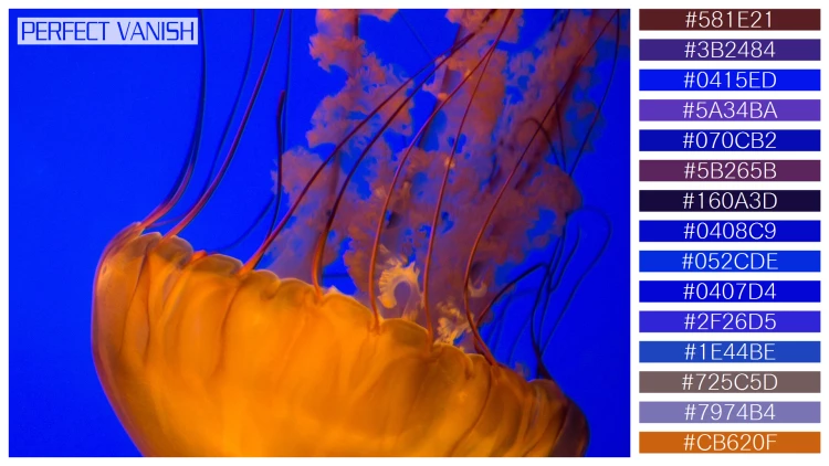 透明感漂うクラゲの無料配色パターン 15色 フリー two brown jellyfish