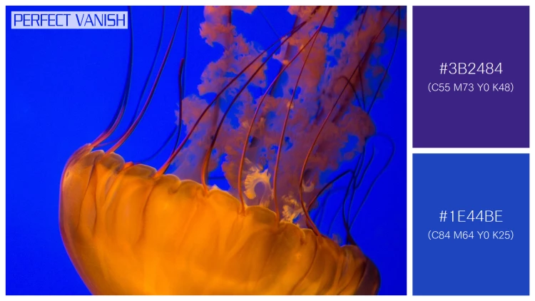 透明感漂うクラゲの無料配色パターン 2色 フリー two brown jellyfish