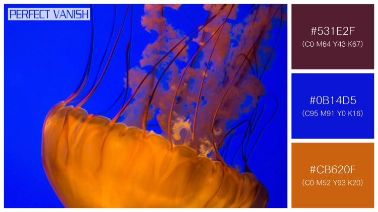 透明感漂うクラゲの無料配色パターン 3色 フリー two brown jellyfish