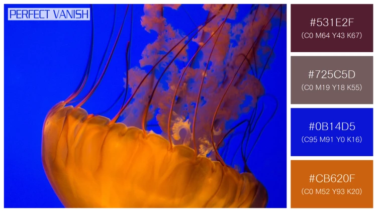 透明感漂うクラゲの無料配色パターン 4色 フリー two brown jellyfish