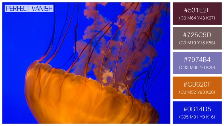 透明感漂うクラゲの無料配色パターン 5色 フリー two brown jellyfish