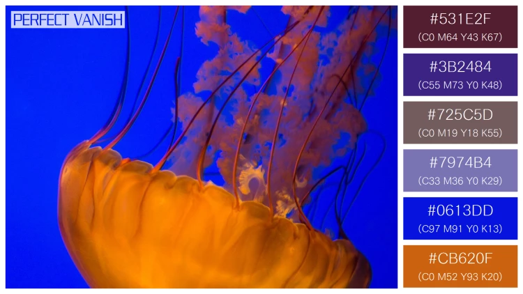 透明感漂うクラゲの無料配色パターン 6色 フリー two brown jellyfish