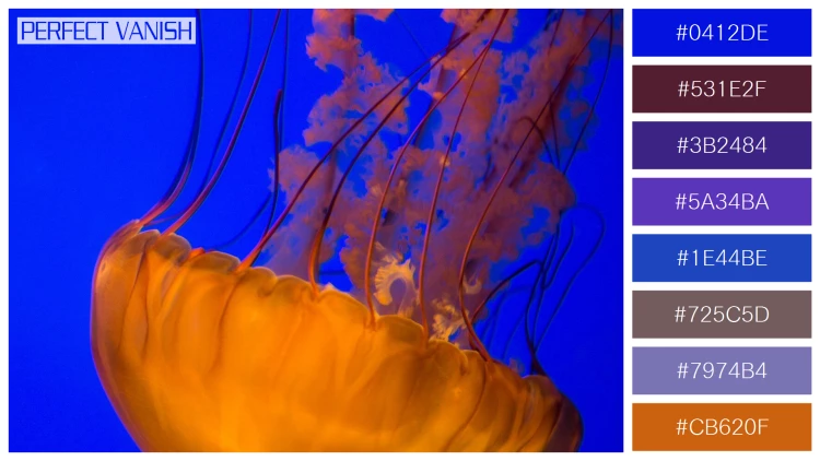 透明感漂うクラゲの無料配色パターン 8色 フリー two brown jellyfish
