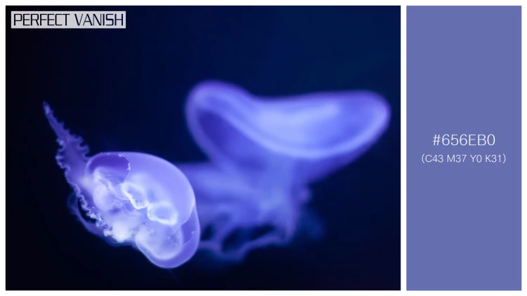 透明感漂うクラゲの無料配色パターン 1色 フリー jellyfish deep water