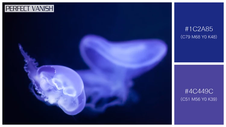 透明感漂うクラゲの無料配色パターン 2色 フリー jellyfish deep water