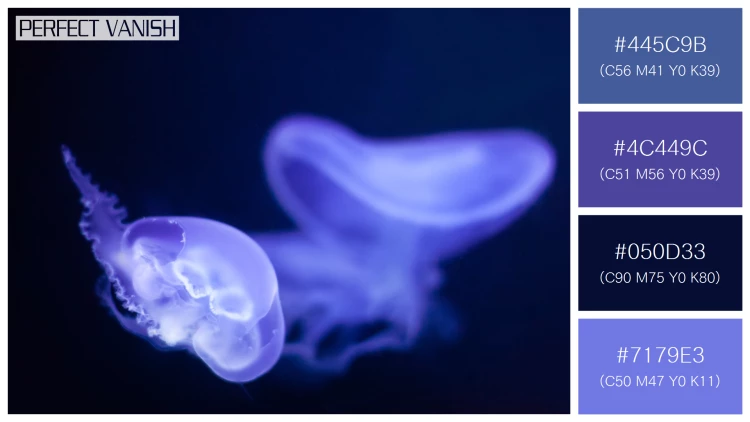 透明感漂うクラゲの無料配色パターン 4色 フリー jellyfish deep water