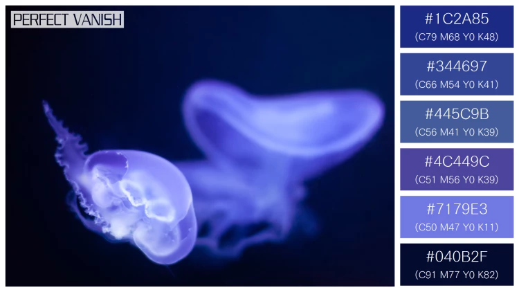 透明感漂うクラゲの無料配色パターン 6色 フリー jellyfish deep water