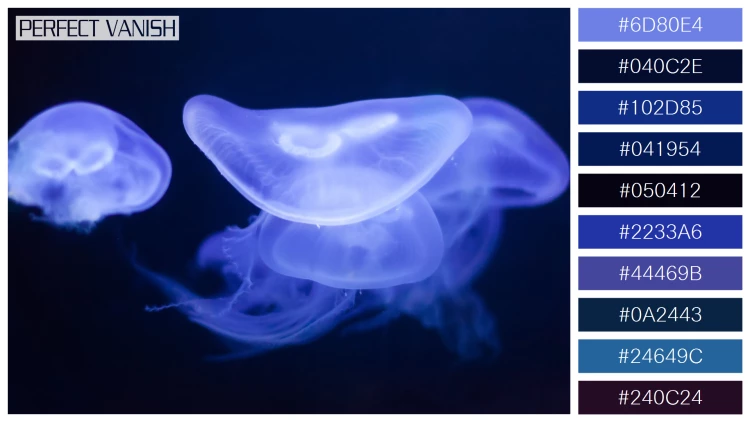 透明感漂うクラゲの無料配色パターン 10色 フリー moon jelly water