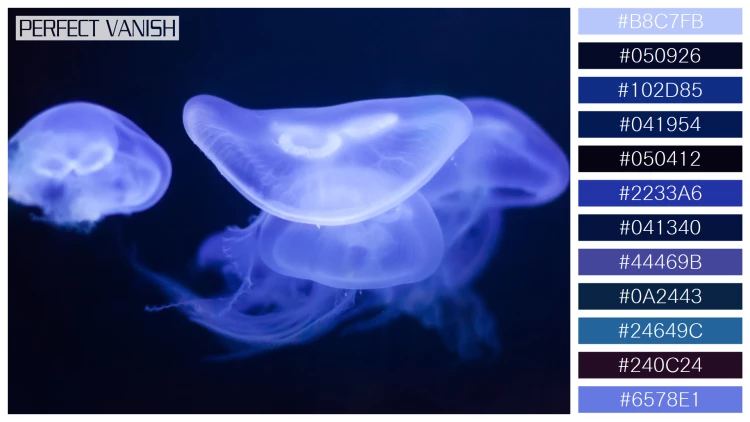 透明感漂うクラゲの無料配色パターン 12色 フリー moon jelly water