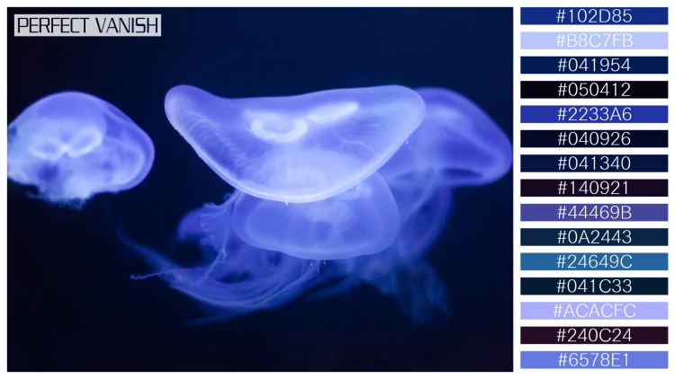 透明感漂うクラゲの無料配色パターン 15色 フリー moon jelly water