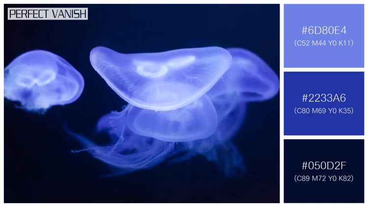 透明感漂うクラゲの無料配色パターン 3色 フリー moon jelly water