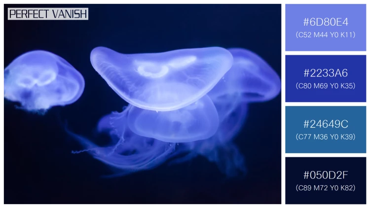 透明感漂うクラゲの無料配色パターン 4色 フリー moon jelly water