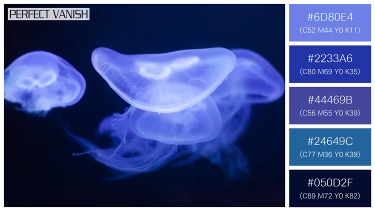 透明感漂うクラゲの無料配色パターン 5色 フリー moon jelly water