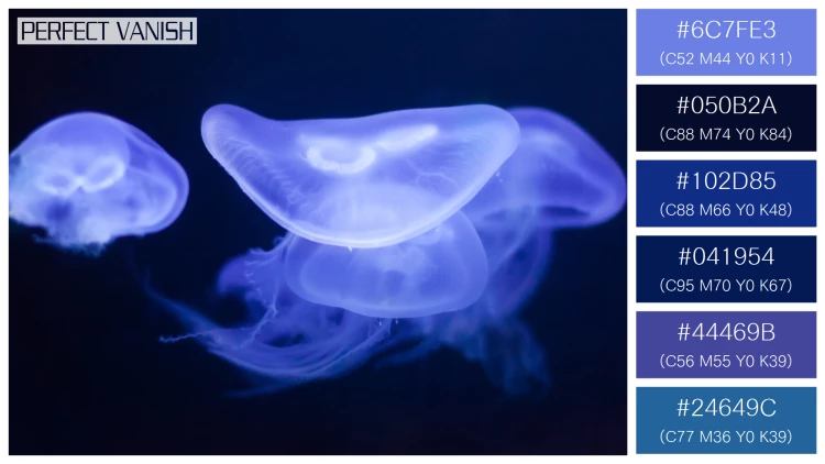 透明感漂うクラゲの無料配色パターン 6色 フリー moon jelly water