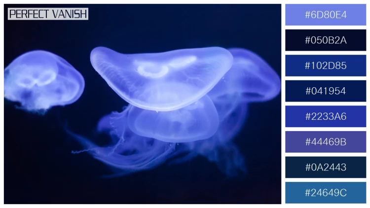 透明感漂うクラゲの無料配色パターン 8色 フリー moon jelly water