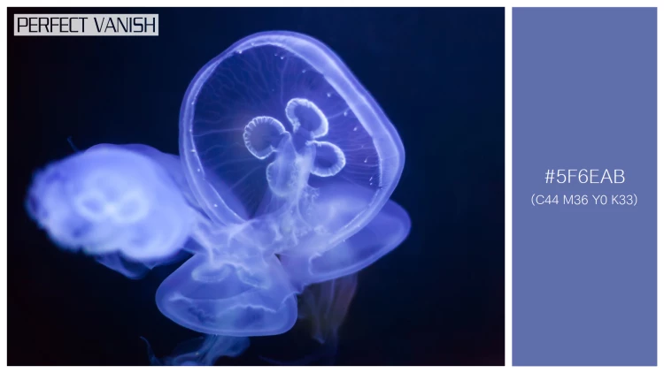 透明感漂うクラゲの無料配色パターン 1色 フリー common jellyfish