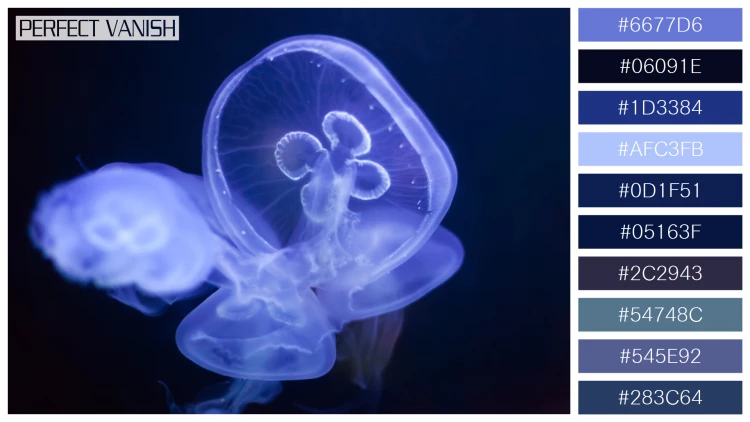 透明感漂うクラゲの無料配色パターン 10色 フリー common jellyfish