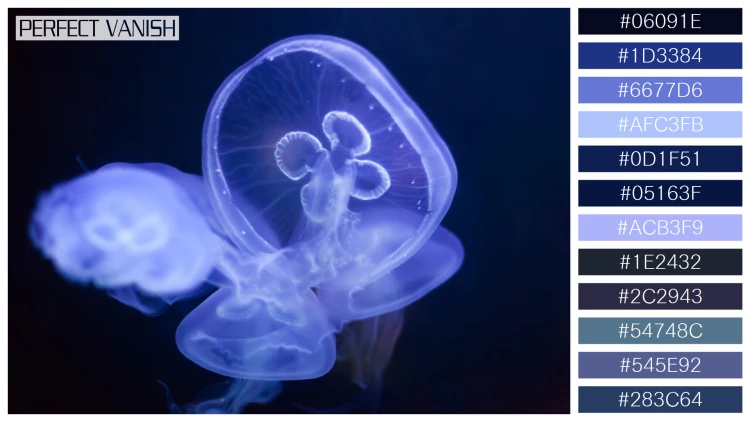 透明感漂うクラゲの無料配色パターン 12色 フリー common jellyfish