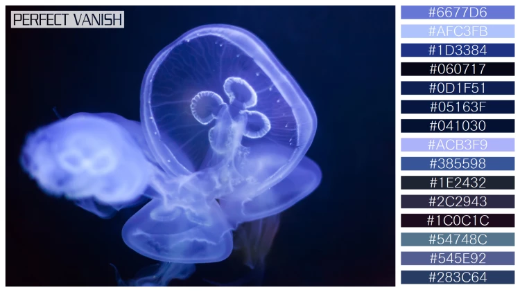 透明感漂うクラゲの無料配色パターン 15色 フリー common jellyfish