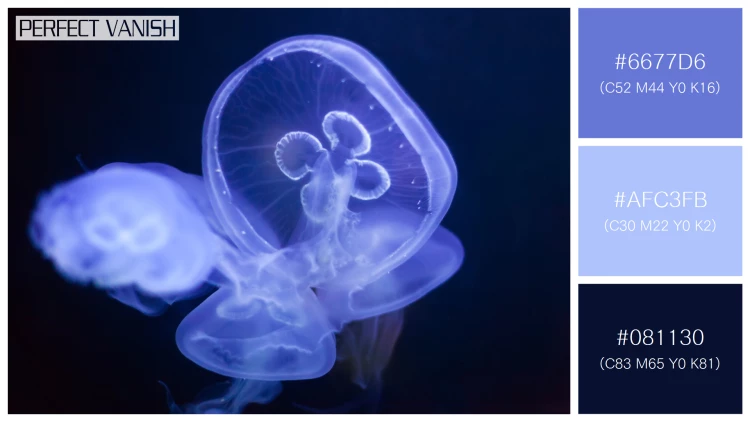 透明感漂うクラゲの無料配色パターン 3色 フリー common jellyfish