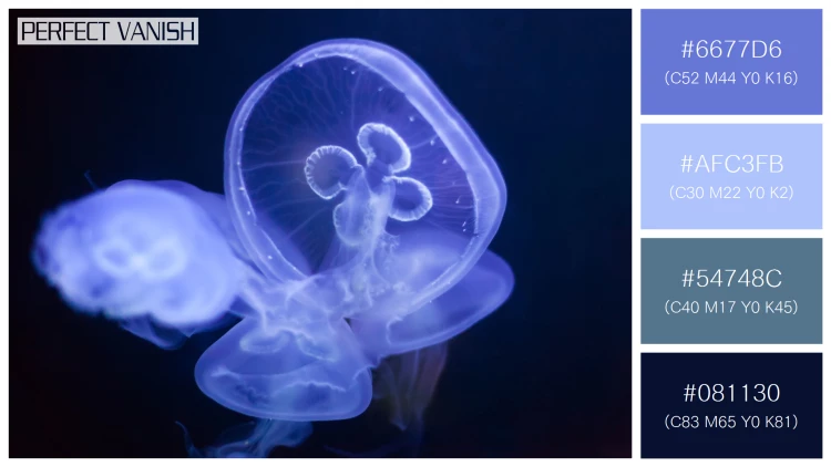 透明感漂うクラゲの無料配色パターン 4色 フリー common jellyfish