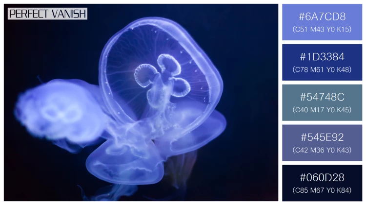 透明感漂うクラゲの無料配色パターン 5色 フリー common jellyfish