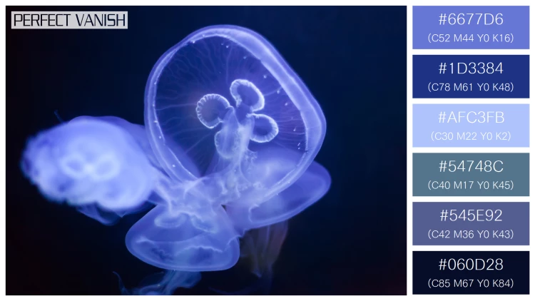 透明感漂うクラゲの無料配色パターン 6色 フリー common jellyfish