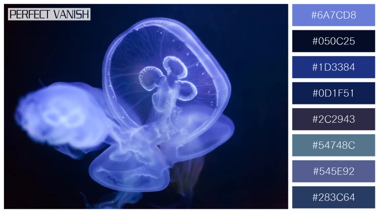 透明感漂うクラゲの無料配色パターン 8色 フリー common jellyfish