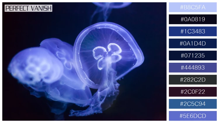 透明感漂うクラゲの無料配色パターン 10色 フリー jellyfish water
