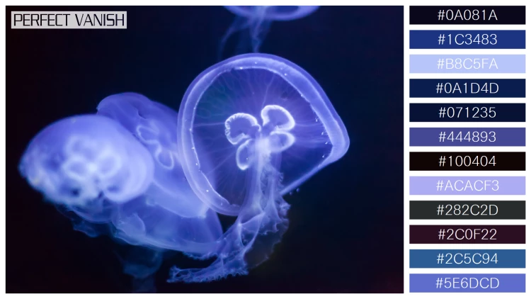 透明感漂うクラゲの無料配色パターン 12色 フリー jellyfish water