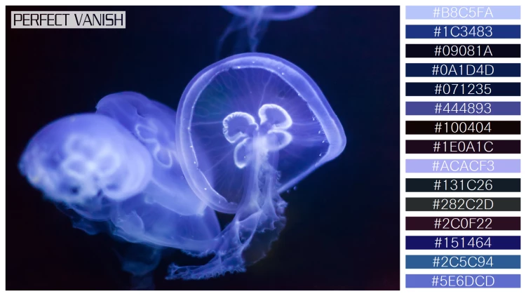 透明感漂うクラゲの無料配色パターン 15色 フリー jellyfish water