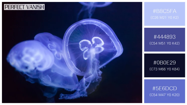 透明感漂うクラゲの無料配色パターン 4色 フリー jellyfish water