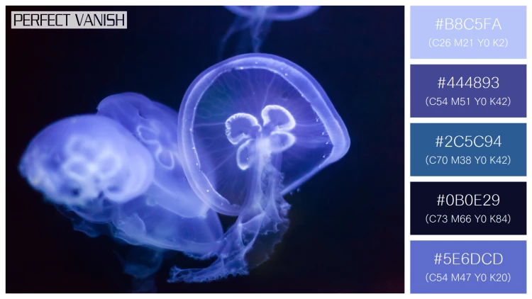 透明感漂うクラゲの無料配色パターン 5色 フリー jellyfish water
