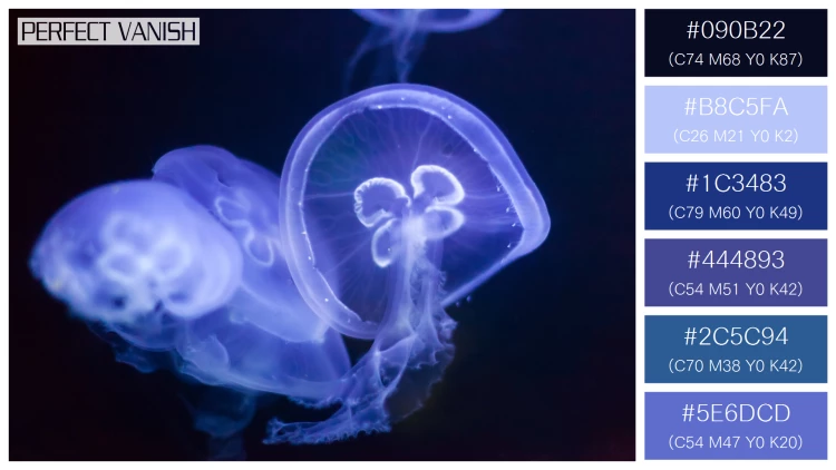 透明感漂うクラゲの無料配色パターン 6色 フリー jellyfish water