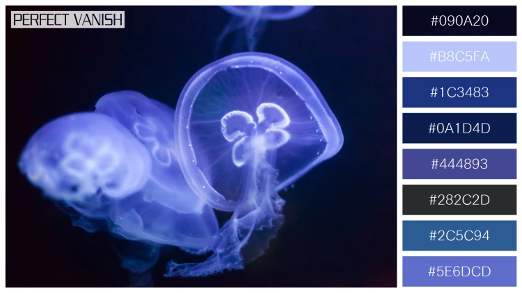 透明感漂うクラゲの無料配色パターン 8色 フリー jellyfish water