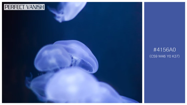 透明感漂うクラゲの無料配色パターン 1色 フリー jellyfish water