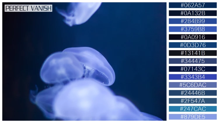 透明感漂うクラゲの無料配色パターン 15色 フリー jellyfish water