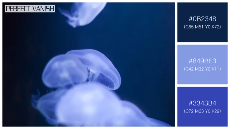 透明感漂うクラゲの無料配色パターン 3色 フリー jellyfish water